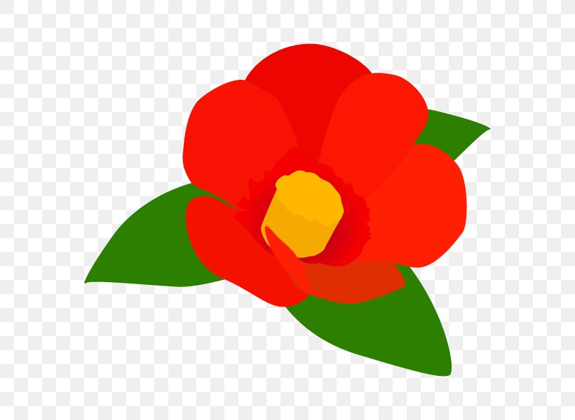 Japanese Camellia Illustration Plants Clip Art Image, PNG, 600x600px, Japanese Camellia, Cut Flowers, Data, Flower, Flowering Plant Download Free