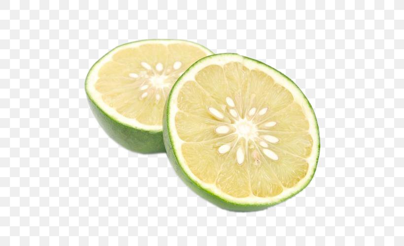 Key Lime Sweet Lemon Persian Lime, PNG, 500x500px, Lime, Acid, Citric Acid, Citron, Citrus Download Free