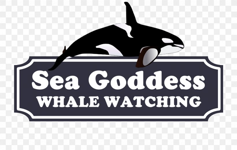 Monterey Bay Sea Goddess Whale Watching Moss, Monterey County, California, PNG, 1229x775px, Monterey Bay, Bay, Brand, California, Cetaceans Download Free