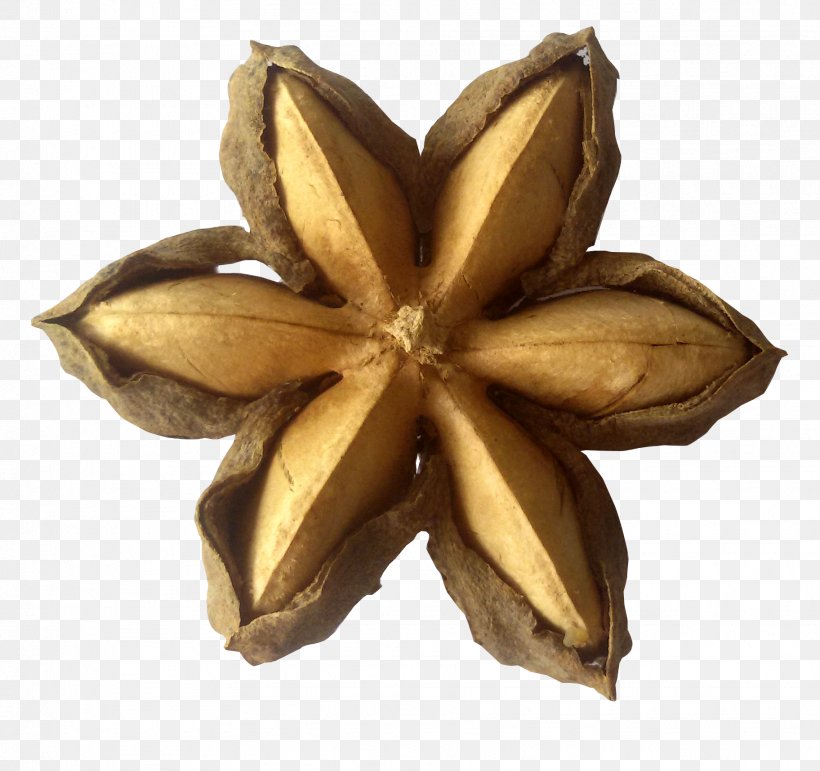 Plukenetia Volubilis Sacha Inchi Oil Nut Seed, PNG, 1824x1716px, Plukenetia Volubilis, Bottle, Coconut Oil, Flavor, Food Download Free