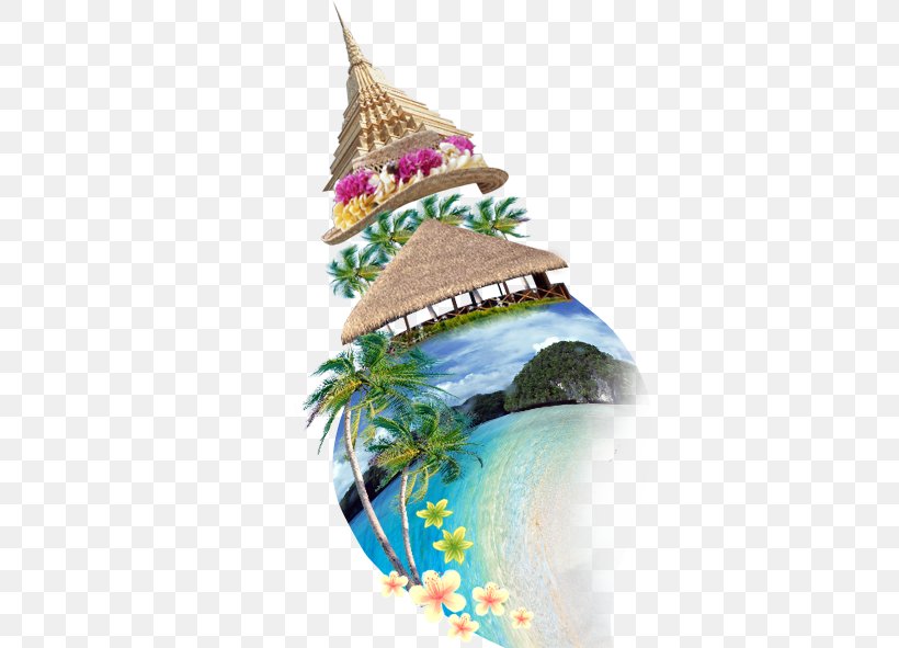 Southeast Asia Sea Snail Creativity Computer File, PNG, 591x591px, Southeast Asia, Asia, Christmas Decoration, Christmas Ornament, Christmas Tree Download Free