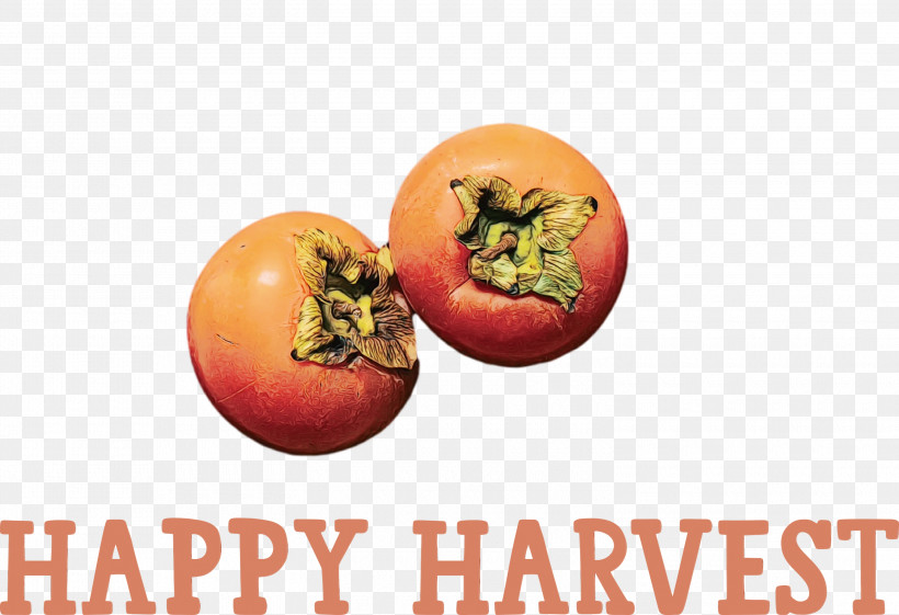 Tomato, PNG, 3000x2056px, Happy Harvest, Fruit, Harvest Time, Local Food, Natural Food Download Free