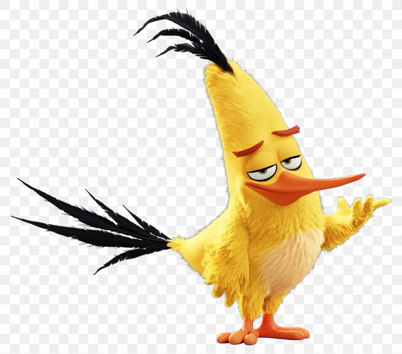 Bird Yellow Beak Water Bird Costume, PNG, 2302x2025px, Cartoon, Beak, Bird, Costume, Duck Download Free