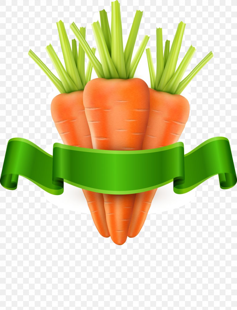 Carrot Vegetable Royalty-free Clip Art, PNG, 1611x2106px, Carrot, Baby Carrot, Carrot Juice, Diet Food, Flowerpot Download Free