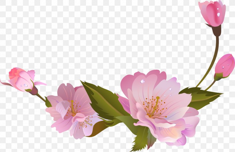 Flower Petal Branch Floral Design, PNG, 1280x830px, Flower, Blossom, Branch, Cherry Blossom, Computer Software Download Free