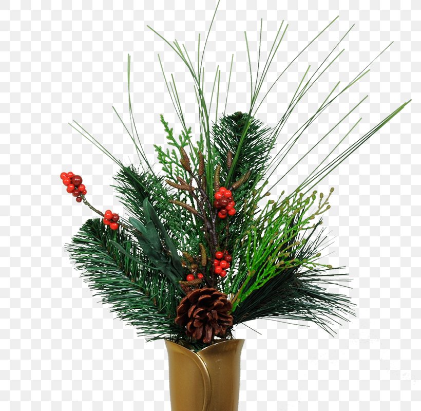 Pine Vase Floral Design Bud Christmas, PNG, 800x800px, Pine, Branch, Bud, Cemetery, Christmas Download Free