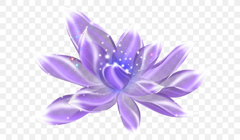 Violet Light Purple, PNG, 674x480px, Violet, Blue, Botany, Floral Design, Flower Download Free