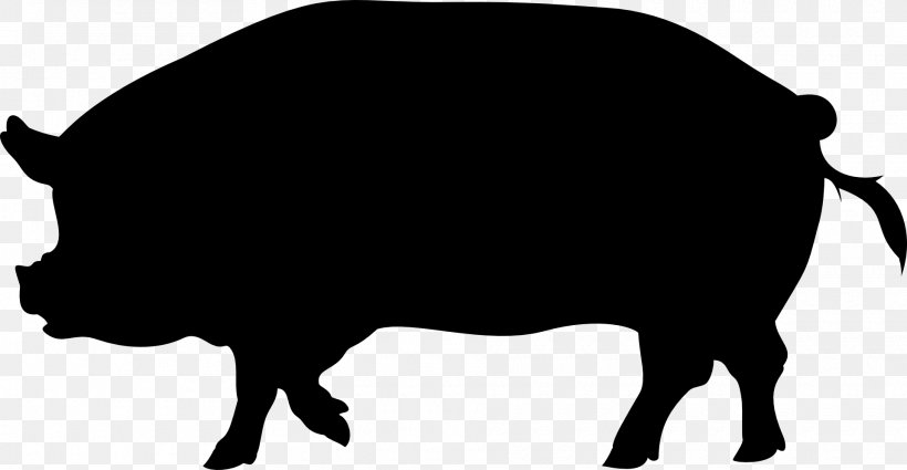 Wild Boar Clip Art Vector Graphics Drawing Stock Illustration, PNG, 1920x996px, Wild Boar, Black, Blackandwhite, Boar, Bovine Download Free