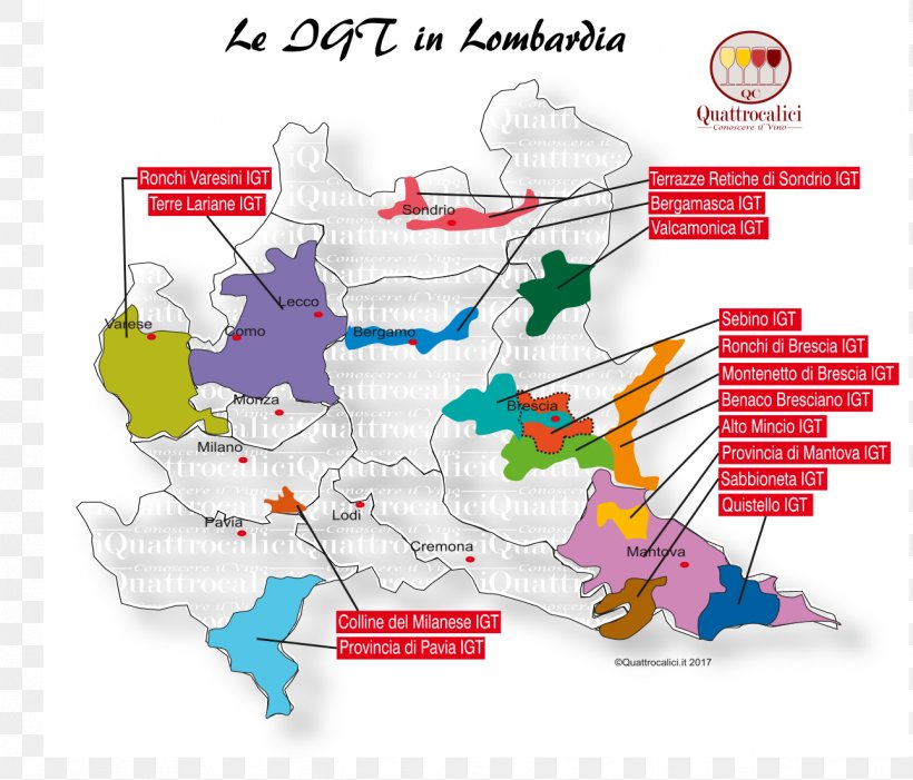 Wine Vini Della Lombardia Valtellina Franciacorta Valpolicella, PNG, 1291x1105px, Wine, Area, Diagram, Docg, Enotourism Download Free