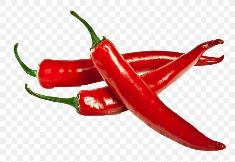Chutney Chili Pepper Indian Cuisine Chili Powder Spice, PNG, 1486x1023px, Chutney, Bell Pepper, Bell Peppers And Chili Peppers, Bird S Eye Chili, Capsicum Download Free