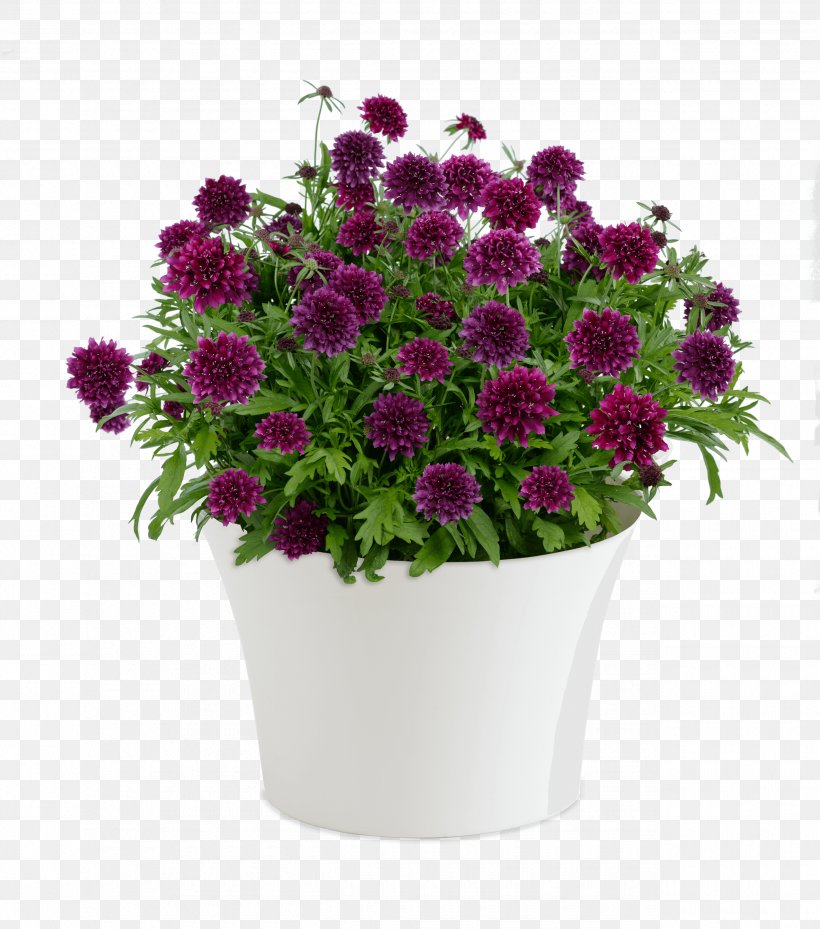 Cut Flowers Seed Flowerpot Artificial Flower, PNG, 2550x2892px, Flower, Annual Plant, Artificial Flower, Aster, Chrysanths Download Free