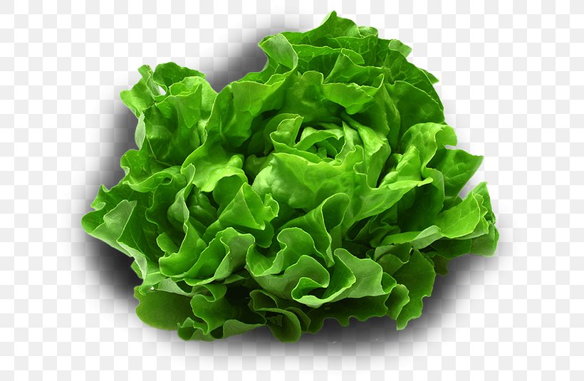 Leaf Vegetable Smoothie Iceberg Lettuce Food, PNG, 665x535px, Leaf Vegetable, Collard Greens, Diet, Food, Iceberg Lettuce Download Free