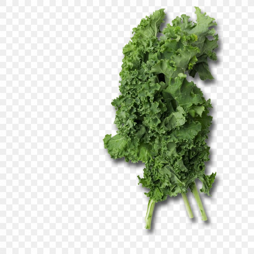 Smoothie Lacinato Kale Collard Greens Leaf Vegetable, PNG, 1200x1200px, Smoothie, Brassica Juncea, Brassica Oleracea, Broccoli, Brussels Sprout Download Free