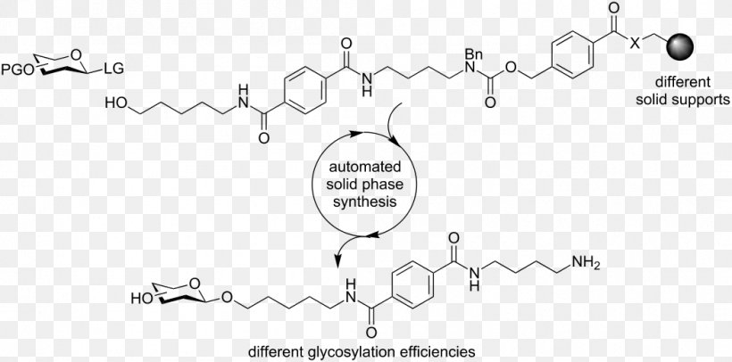 3-Methylglutaconyl-CoA Beta-Hydroxy Beta-methylbutyryl-CoA Beta-Hydroxy Beta-methylbutyric Acid Leucine Methylglutaconyl-CoA Hydratase, PNG, 1048x520px, Betahydroxy Betamethylbutyric Acid, Animal, Area, Auto Part, Biosynthesis Download Free