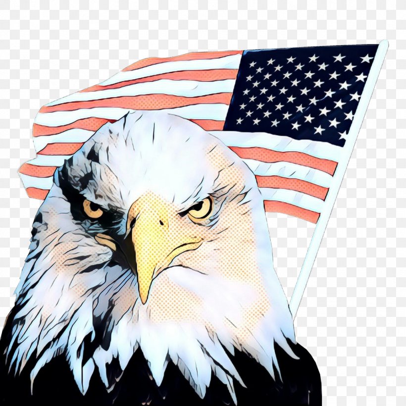 American Flag Background, PNG, 1024x1024px, Pop Art, Accipitridae, Bald Eagle, Beak, Bird Download Free