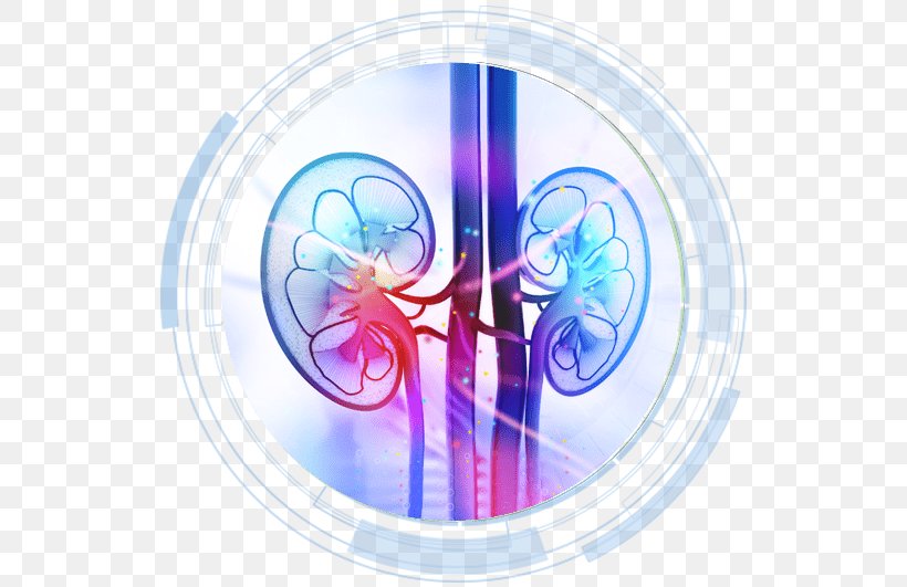 Hemodialysis Kidney Transplantation Hospital, PNG, 531x531px, Dialysis, Chronic Kidney Disease Ckd, Health Care, Hemodialysis, Hospital Download Free