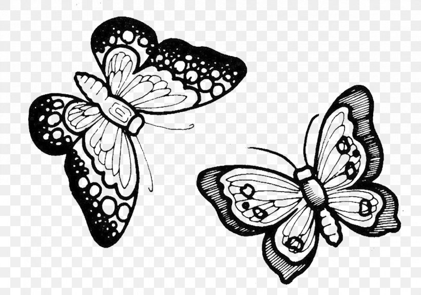 Monarch Butterfly Moth Pterygota Paper Butterflies, PNG, 1181x827px, Monarch Butterfly, Arthropod, Artwork, Black And White, Brush Footed Butterfly Download Free