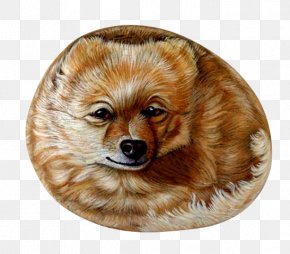 Stone Fox Pattern - Painting Rock Art Painter PNG