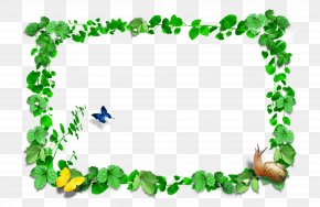 Green Frame - Picture Frame Green PNG