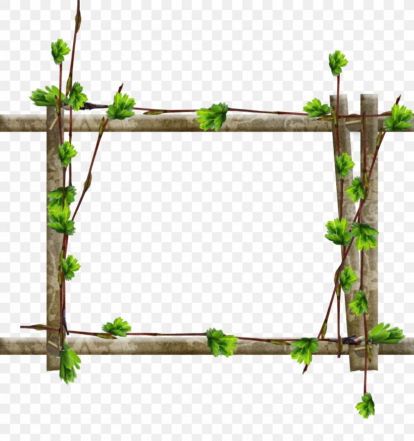 Picture Frames Tree Window Wood Branch, PNG, 3108x3315px, Picture Frames, Branch, Film Frame, Flower, Flowering Plant Download Free