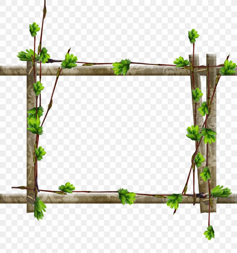 Picture Frames Tree Window Wood Branch, PNG, 3108x3315px, Picture