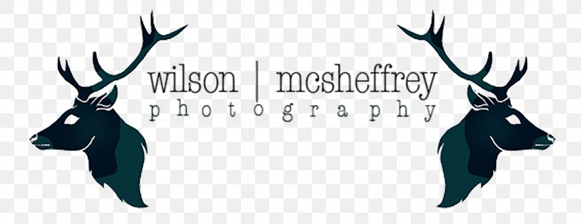 Wilson McSheffrey Photography Photographer Wedding Photography, PNG, 1600x617px, Photographer, Antler, Deer, Elopement, Glasgow Download Free