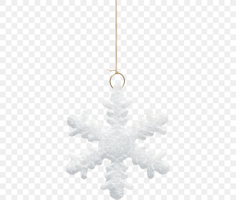 Christmas Ornament Holiday Green March New Year, PNG, 361x698px, 2017, 2018, Christmas, Author, Ceiling Fixture Download Free
