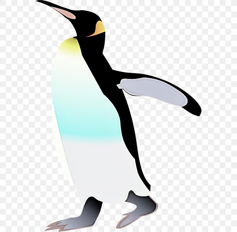 Penguin, PNG, 574x800px, Bird, Beak, Emperor Penguin, Flightless Bird, King Penguin Download Free
