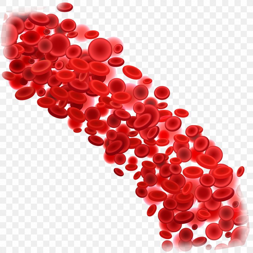 Red Blood Cell White Blood Cell Clip Art, PNG, 1000x1000px, Red Blood Cell, Artery, Blood, Blood Cell, Blood Vessel Download Free