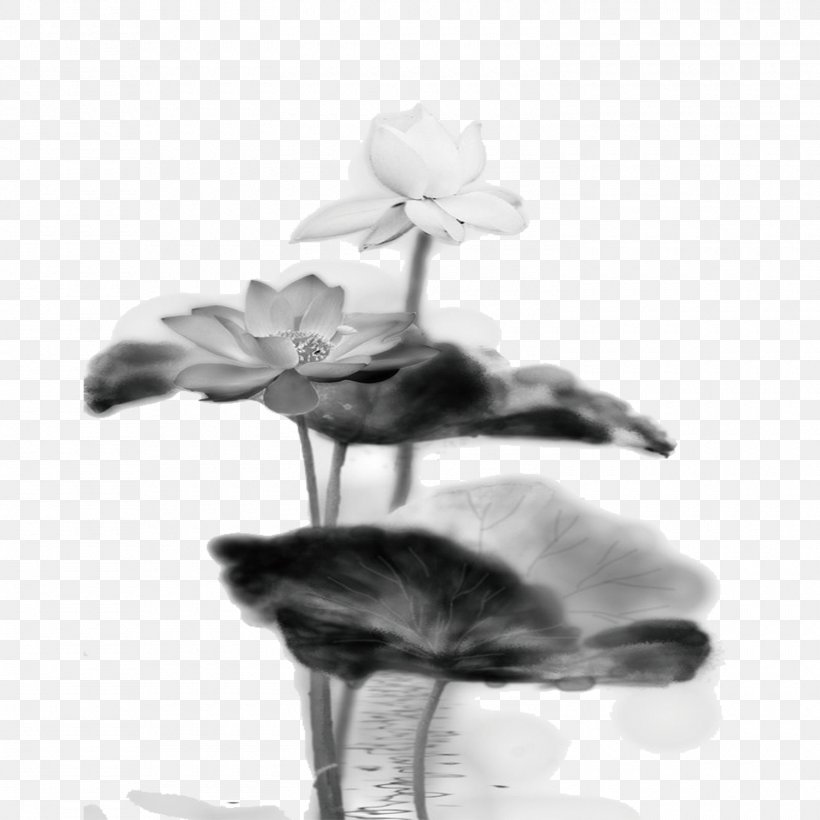 Download Clip Art, PNG, 1500x1500px, Nelumbo Nucifera, Black And White, Coreldraw, Flower, Flowering Plant Download Free