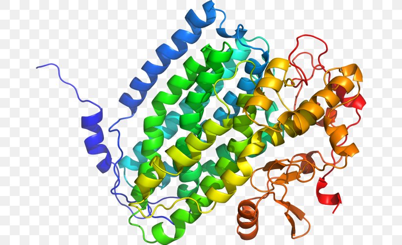 FNTB Farnesyltransferase Gene Protein Subunit Geranylgeranyltransferase Type 1, PNG, 674x500px, Farnesyltransferase, Body Jewelry, Dna, Ensembl, Enzyme Download Free