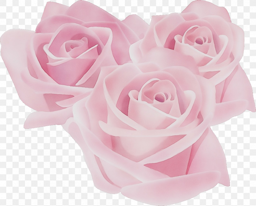 Garden Roses, PNG, 998x806px, Three Flowers, Artificial Flower, Bouquet, Cut Flowers, Floribunda Download Free