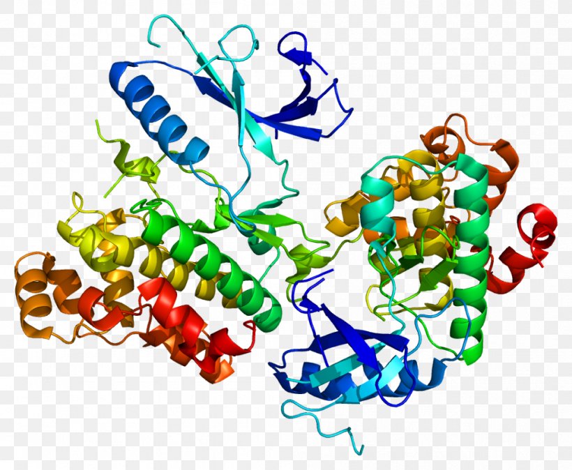 Monoamine Oxidase B Monoamine Neurotransmitter Monoamine Oxidase ...