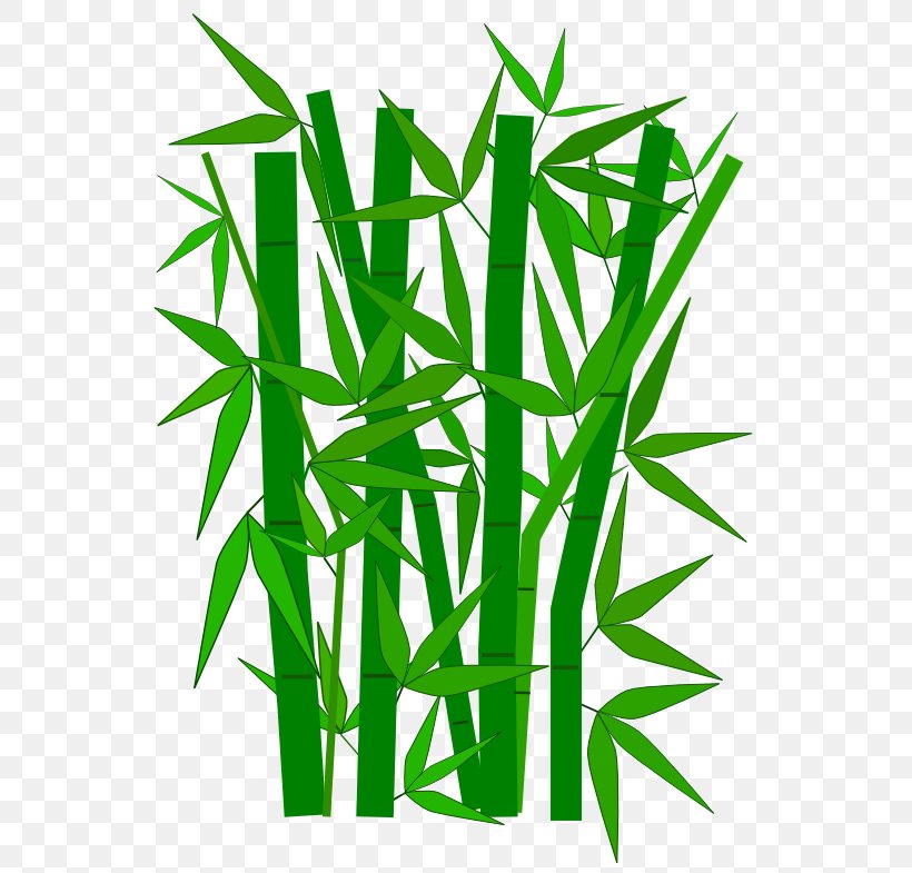 Paper Bamboo Green Clip Art, PNG, 555x785px, Paper, Bamboo, Bamboo Textile, Color, Commodity Download Free