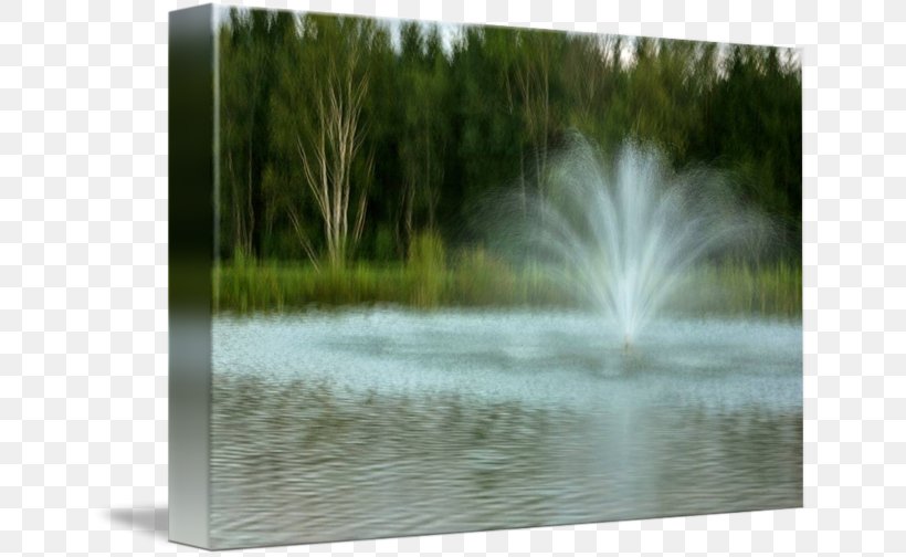 Pond Water Resources Wetland Fountain, PNG, 650x504px, Pond, Bayou, Fountain, Grass, Lacustrine Plain Download Free