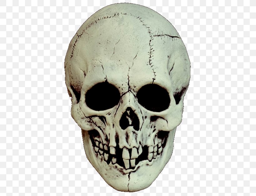 Skull Mask Costume Party Skeleton, PNG, 429x630px, Skull, Adult, Balaclava, Bone, Cosplay Download Free