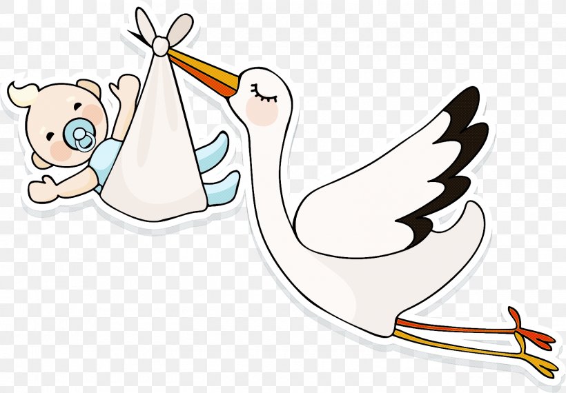 Bird Stork Cartoon Beak Ciconiiformes, PNG, 1600x1114px, Bird, Beak, Cartoon, Ciconiiformes, Coloring Book Download Free