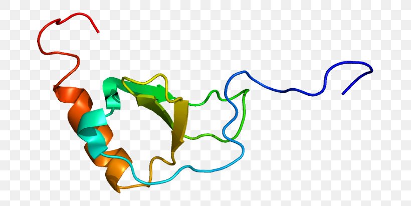 CX3CR1 CX3CL1 Chemokine Receptor Protein, PNG, 721x411px, Chemokine, Area, Artwork, Binding Site, Chemokine Receptor Download Free