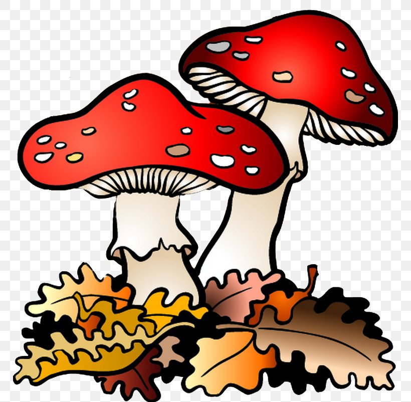 Fungus Drawing Natural Environment Mushroom Clip Art, PNG, 768x802px, Fungus, Artwork, Cartoon, Drawing, Edible Mushroom Download Free