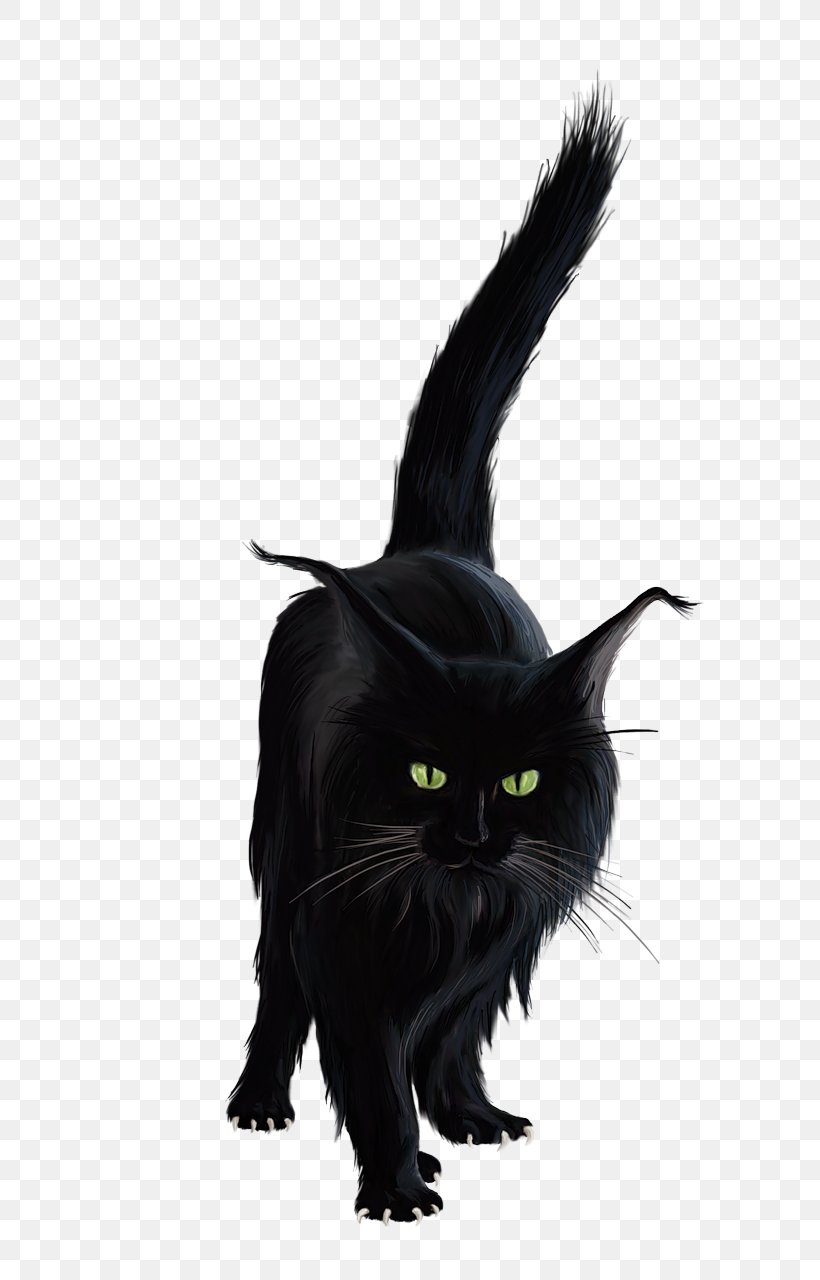 Siamese Cat Black Cat Mouse Clip Art, PNG, 614x1280px, Siamese Cat, Animaatio, Animal Track, Black, Black Cat Download Free
