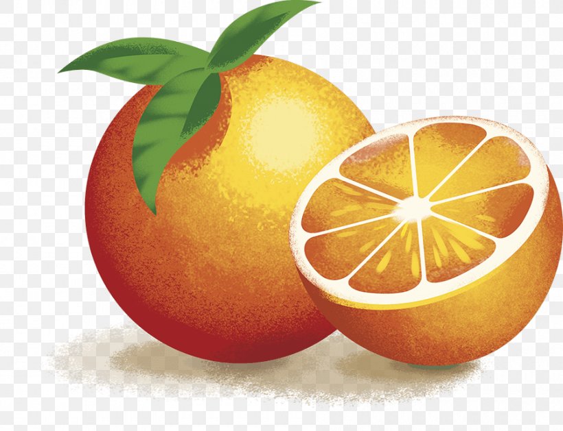 Blood Orange Clementine Grapefruit Lemon Mandarin Orange, PNG, 900x691px, Blood Orange, Apple, Bitter Orange, Citric Acid, Citrus Download Free