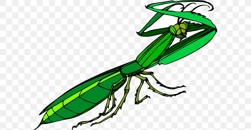 Insect Mantis Free Content Clip Art, PNG, 600x425px, Insect, Arthropod, Artwork, Cartoon, Drawing Download Free