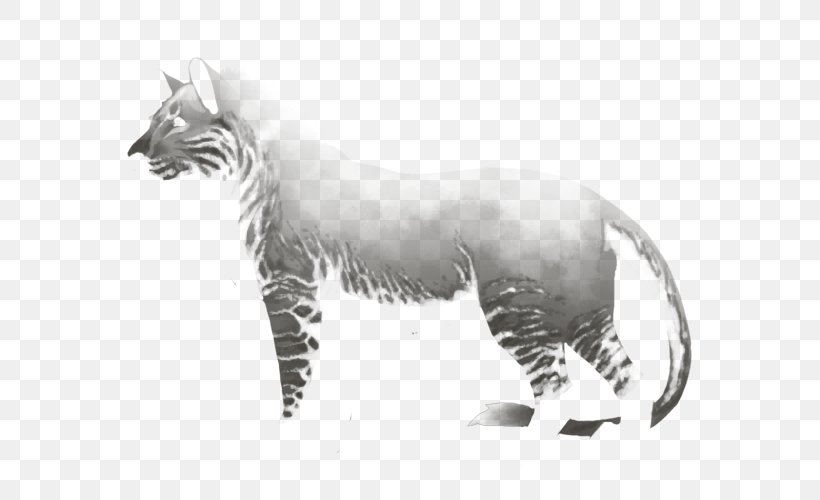 Whiskers Tiger Cat Drawing Terrestrial Animal, PNG, 640x500px, Whiskers, Animal, Big Cat, Big Cats, Black And White Download Free