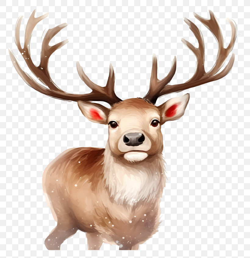 Brown Deer - Realistic Reindeer With Antlers PNG