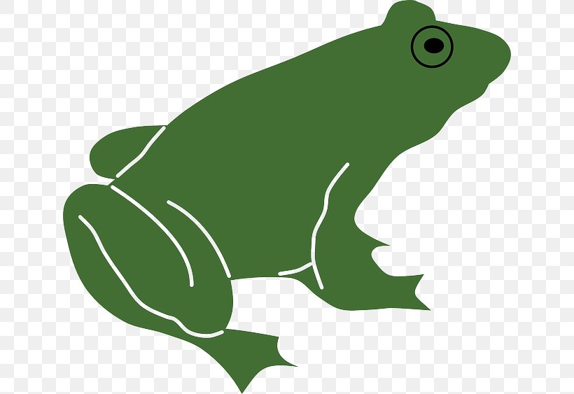 Frog Lithobates Clamitans Silhouette Clip Art, PNG, 640x563px, Frog, Amphibian, Australian Green Tree Frog, Cartoon, Drawing Download Free