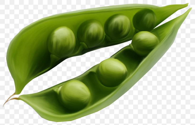 Pea Vegetable Bean Legume Clip Art, PNG, 2049x1315px, Pea, Albom, Bean, Berry, Commodity Download Free