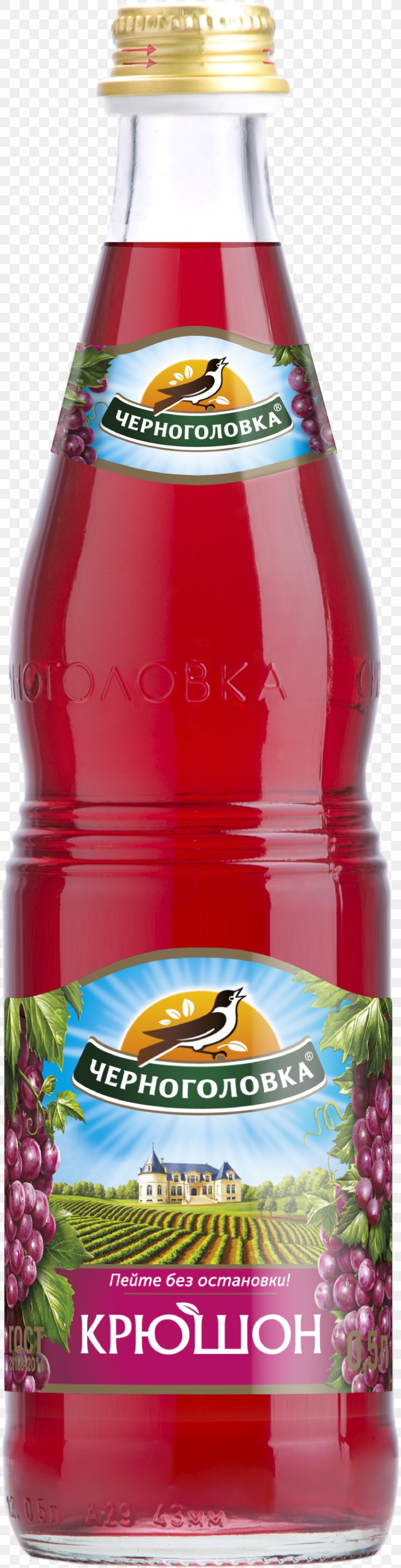 Fizzy Drinks Carbonated Water Lemonade Baikal Tarhun, PNG, 869x3399px, Fizzy Drinks, Baikal, Bottle, Carbonated Water, Chernogolovka Download Free