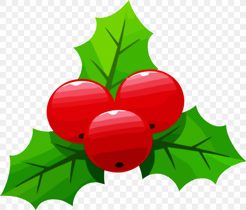 Holly Christmas Christmas Ornament, PNG, 3000x2566px, Holly, Christmas, Christmas Ornament, Currant, Evergreen Download Free