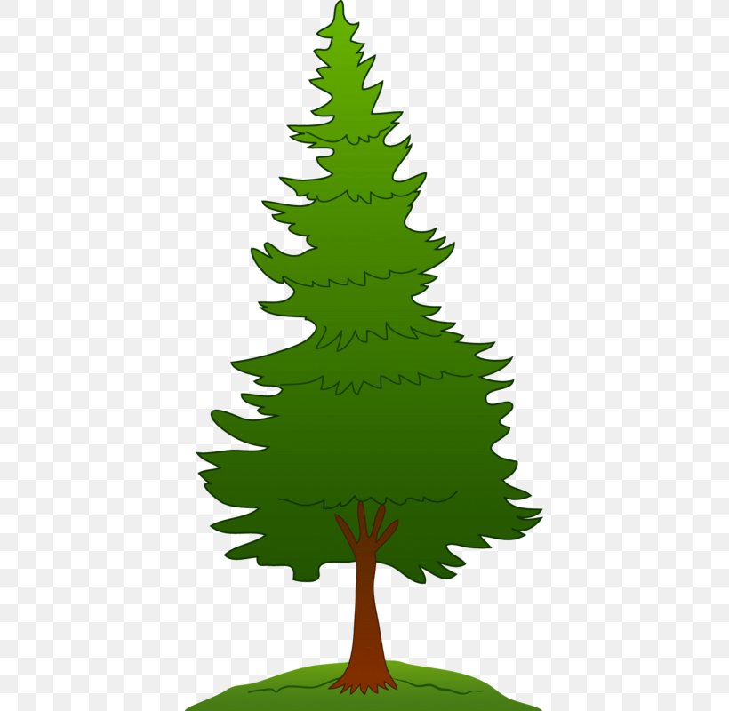Pine Tree Clip Art, PNG, 403x800px, Pine, Blog, Branch, Christmas, Christmas Decoration Download Free