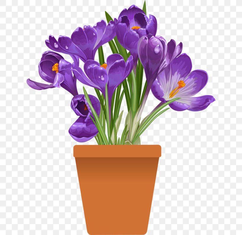 Plant Flowerpot Clip Art, PNG, 640x797px, Plant, Cactaceae, Crocus, Cut Flowers, Drawing Download Free